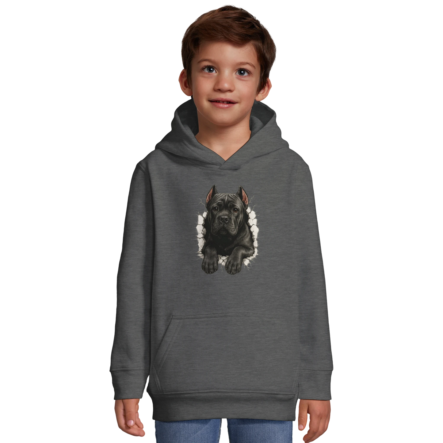 Sweat-shirt à capuche enfant gris Cane Corso trou mur