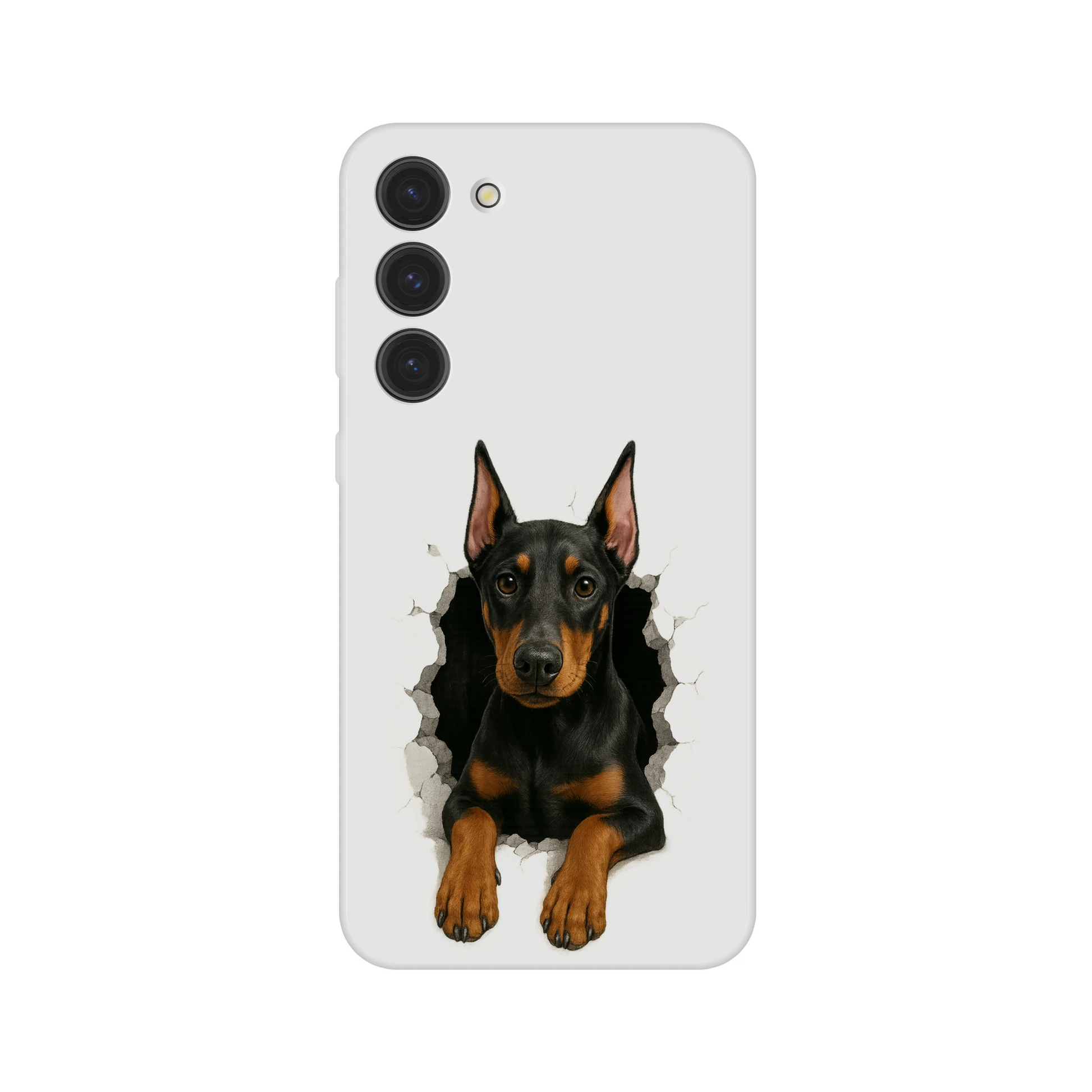 Coque pour Samsung Galaxy S Dobermann trou mur2