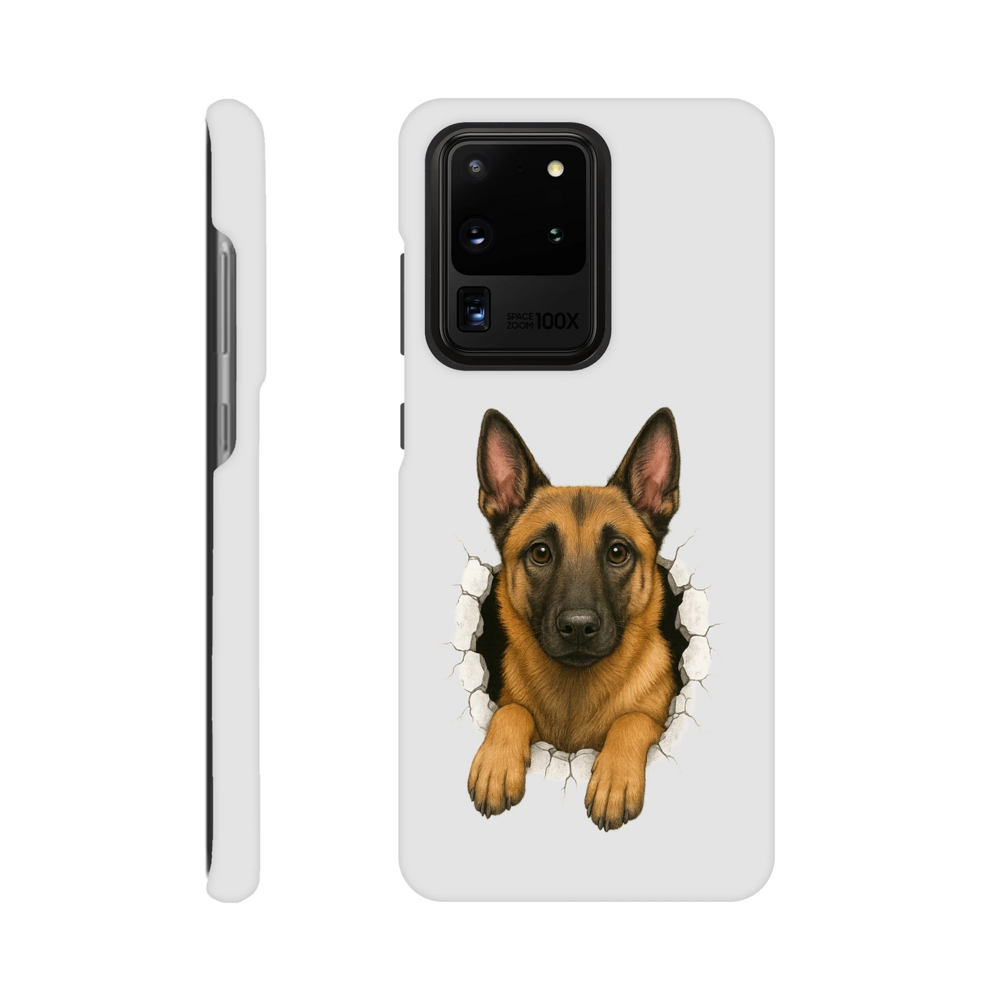 Coque de téléphone Samsung Galaxy S Malinois trou mur2