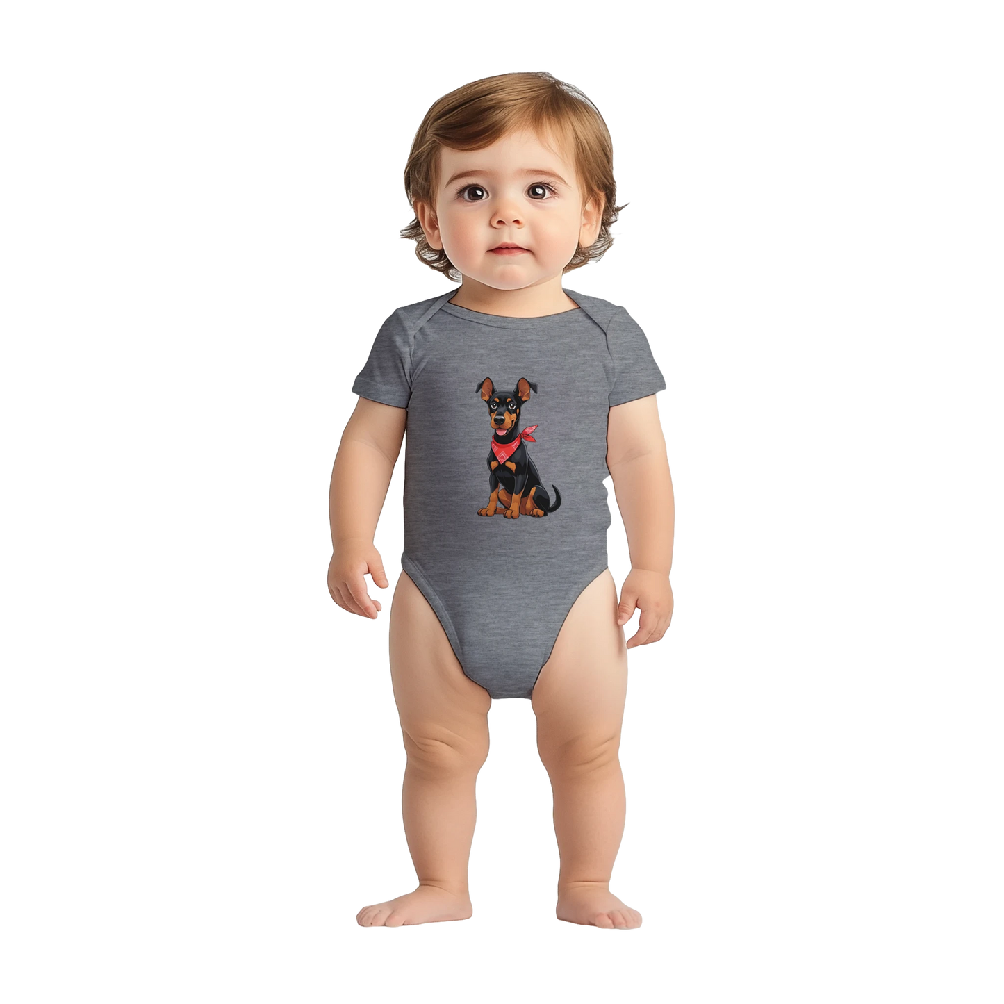 Body bébé gris coton manches courtes Dobermann