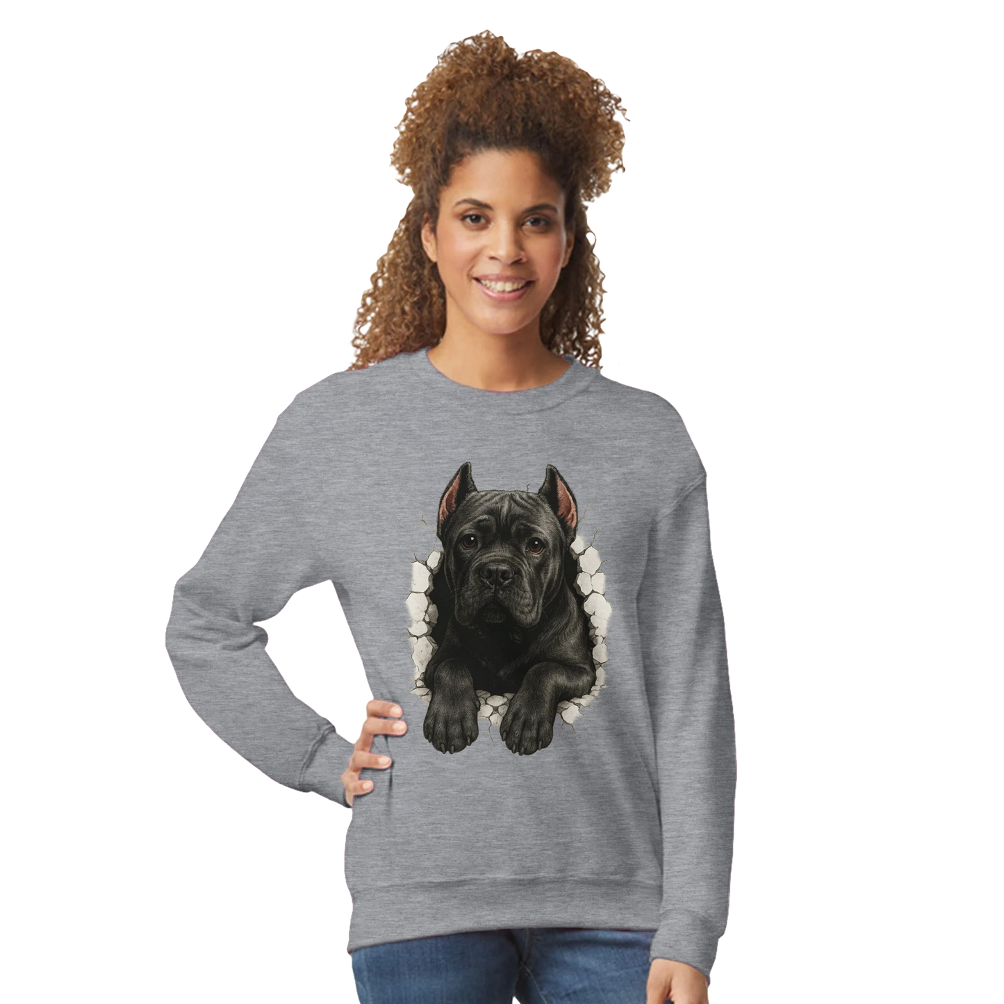 Sweat-shirt adulte unisexe classique ras du cou gris Cane Corso trou mur