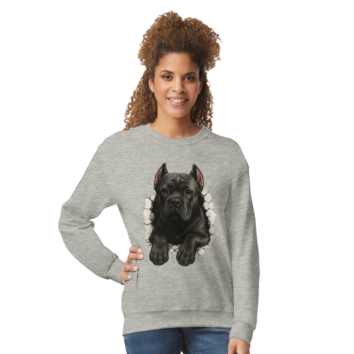 Sweat-shirt adulte unisexe classique ras du cou gris Cane Corso trou mur