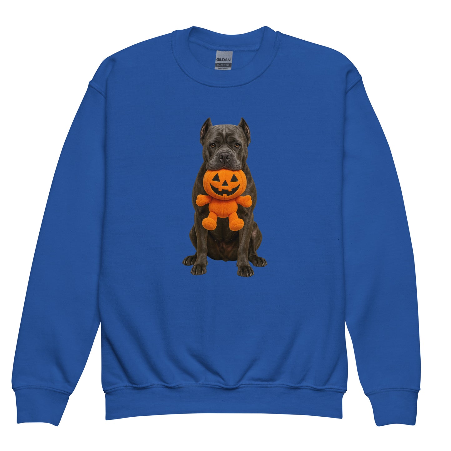 Sweat classique enfant bleu Cane Corso halloween1