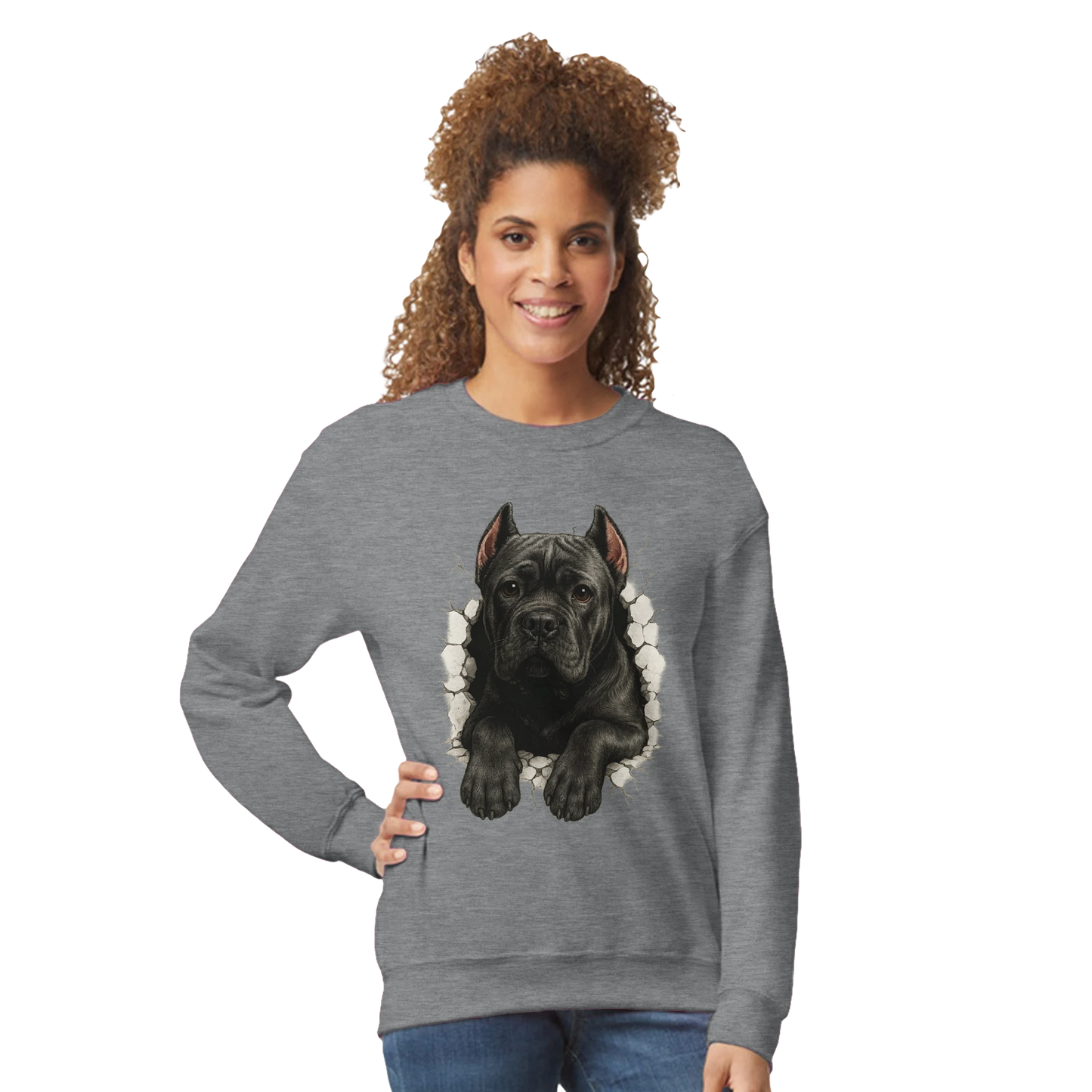 Sweat-shirt adulte unisexe classique ras du cou gris Cane Corso trou mur