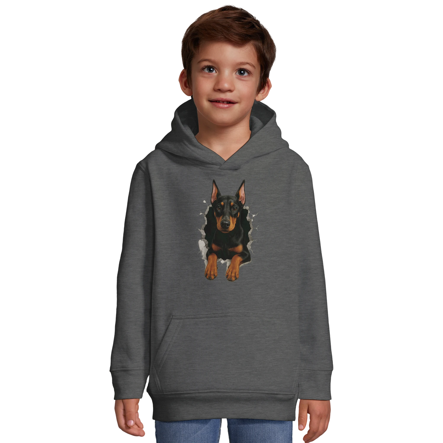 Sweat-shirt à capuche enfant gris-Dobermann trou mur