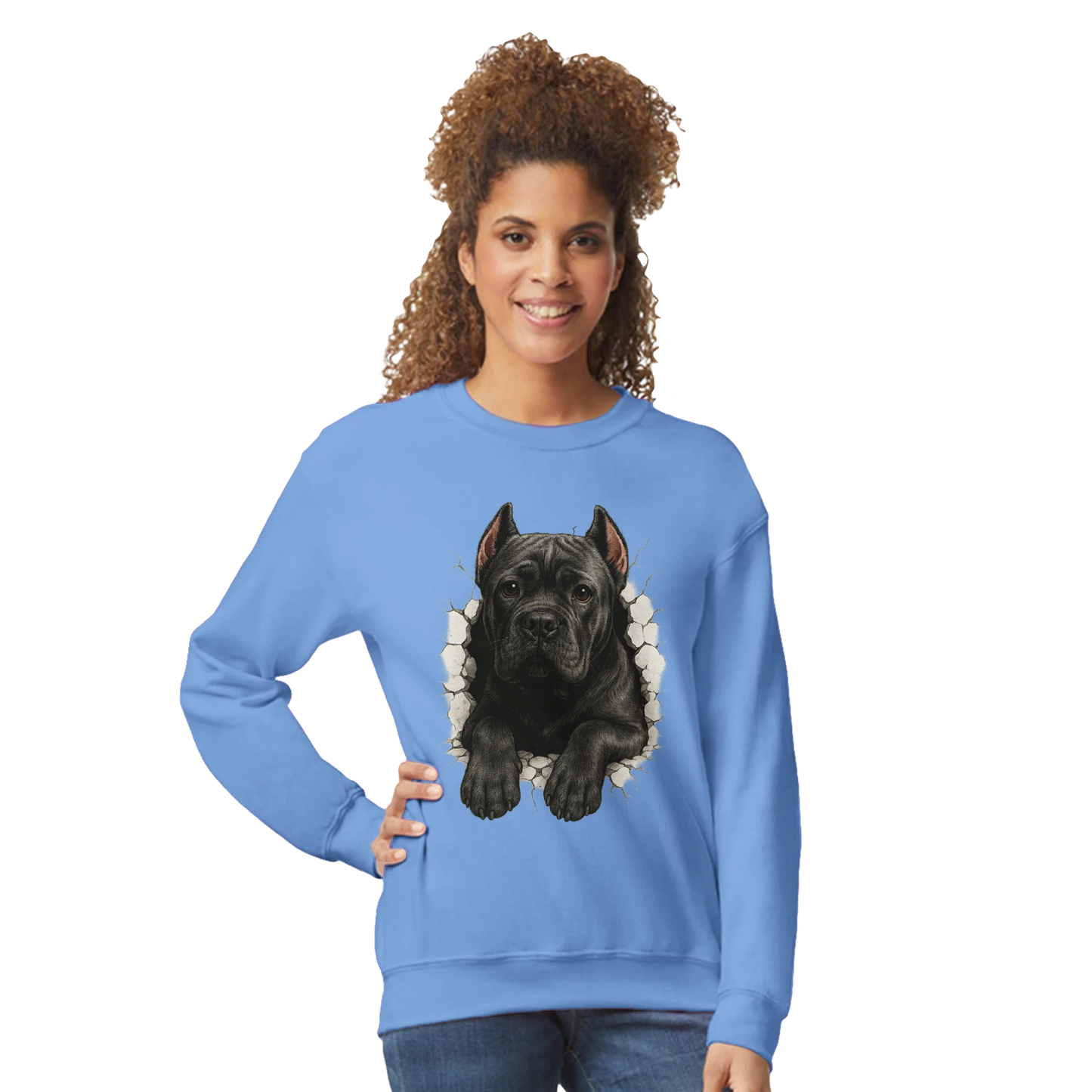 Sweat-shirt adulte unisexe classique ras du cou bleu Cane Corso trou mur